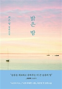 밝은 밤 : 최은영 첫 장편소설