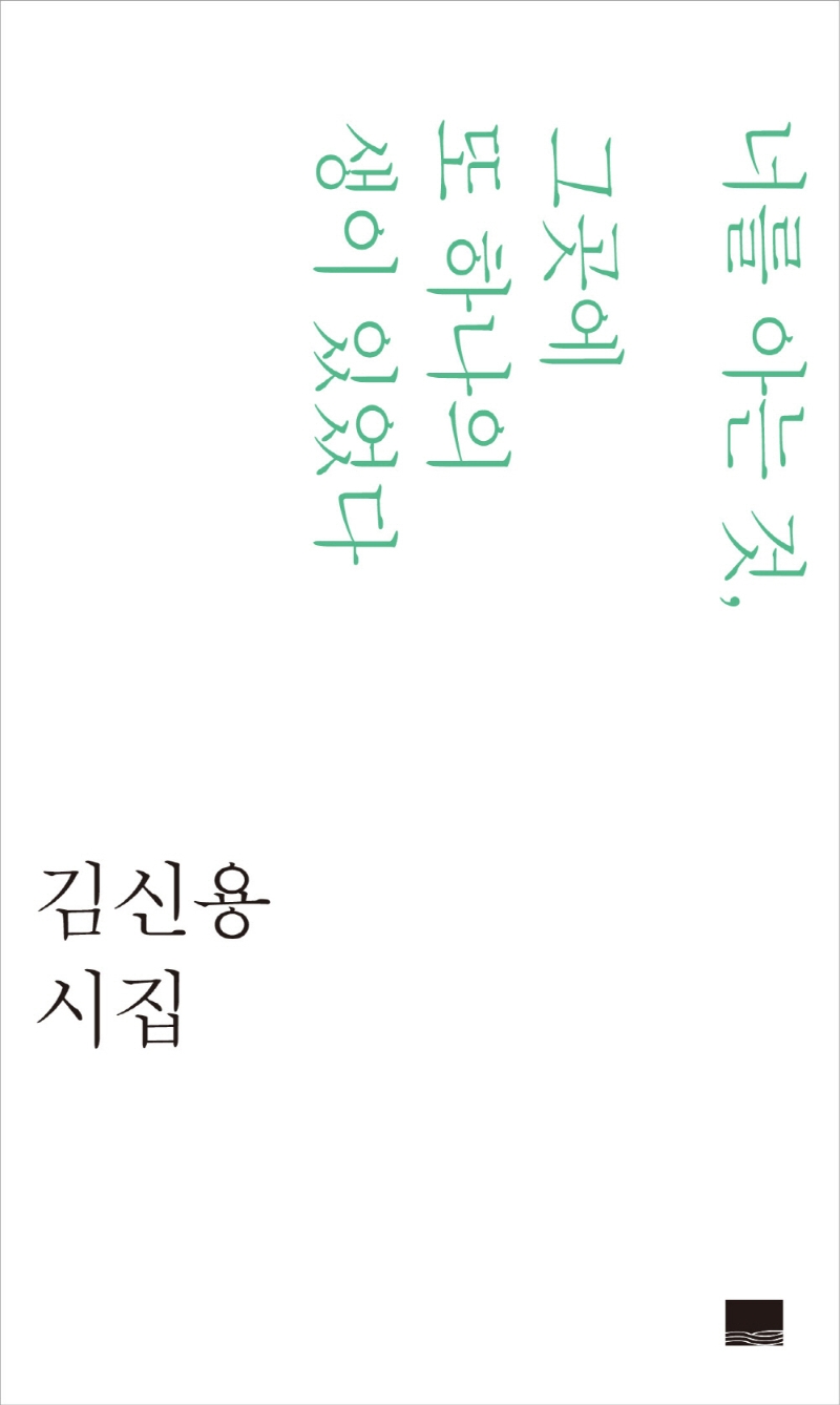 너를 아는 것, 그곳에 또 하나의 생이 있었다: 김신용 시집 