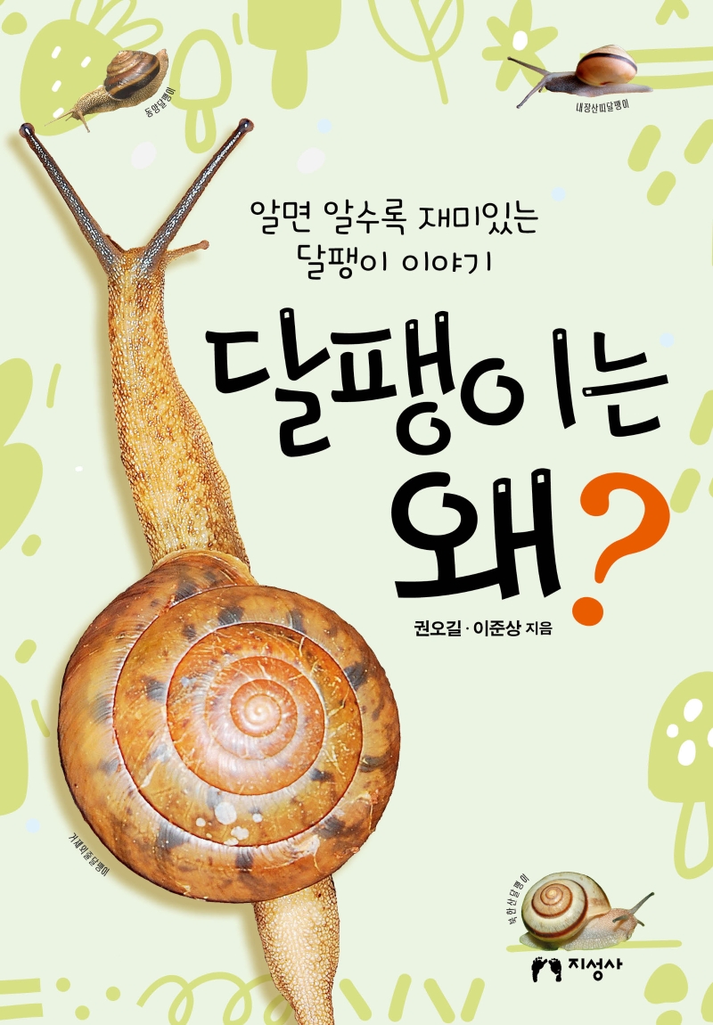 달팽이는 왜? : 알면 알수록 재미있는 달팽이 이야기 