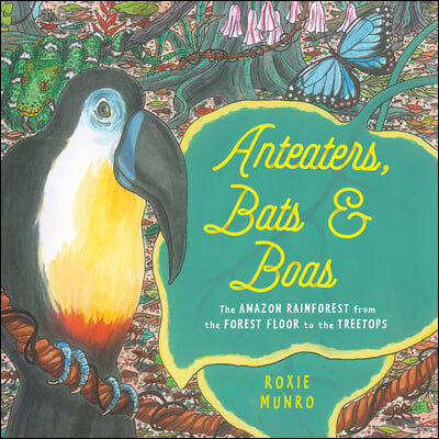Anteaters,bats&boas:theAmazonrainforestfromtheforestfloortothetreetops