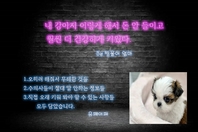 내 강아지 이렇게 해서 돈 안들이고 훨씬 더 건강하게 키웠다- [전자책]
