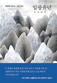 일광유년 : 옌롄커 장편소설 표지