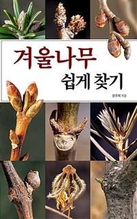 겨울나무 쉽게 찾기 