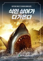 초록상어 이미지