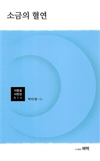 소금의혈연:박미영시집
