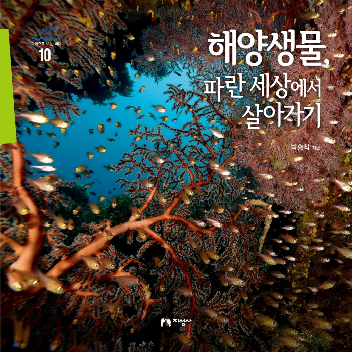 해양생물, 파란 세상에서 살아가기 