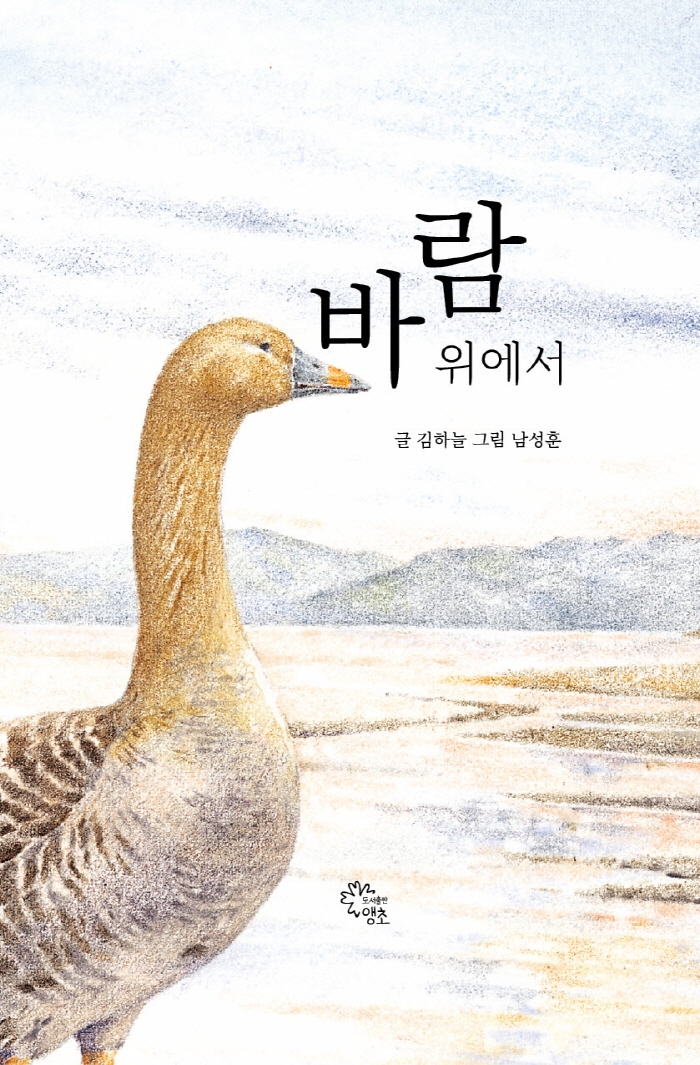 바람 위에서