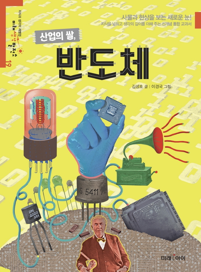 산업의 쌀, 반도체 