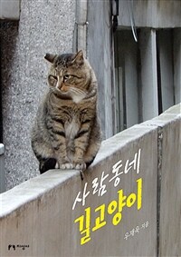 사람동네 길고양이