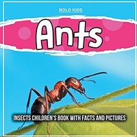 Ants: Insects Children's Book With Facts And Pictures (Paperback)