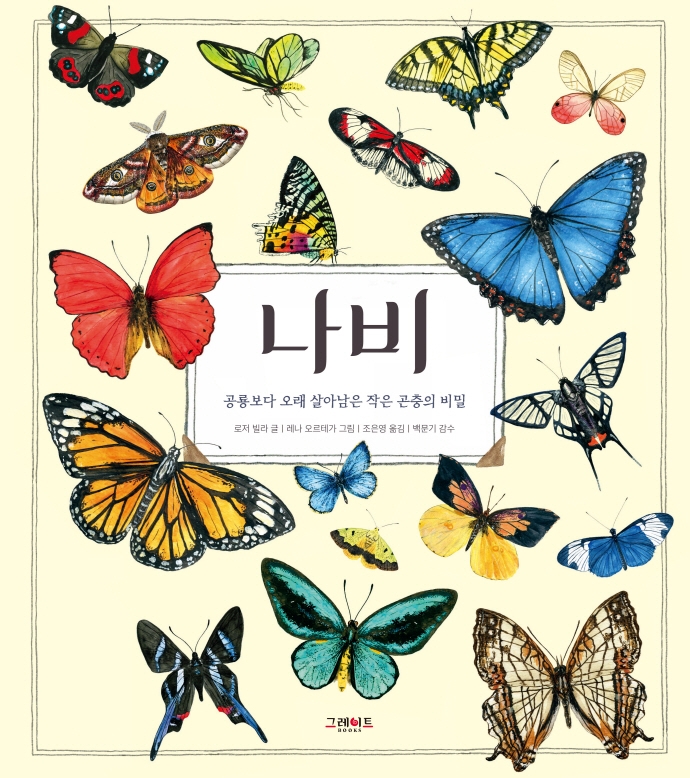 나비  공룡보다 오래 살아남은 작은 곤충의 비밀