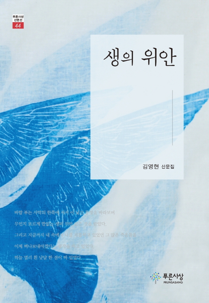 생의 위안 : 김영현 산문집 